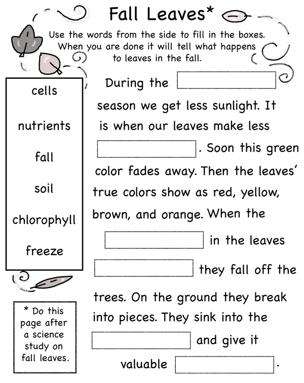 Fall Leaves: A Colorful Mystery