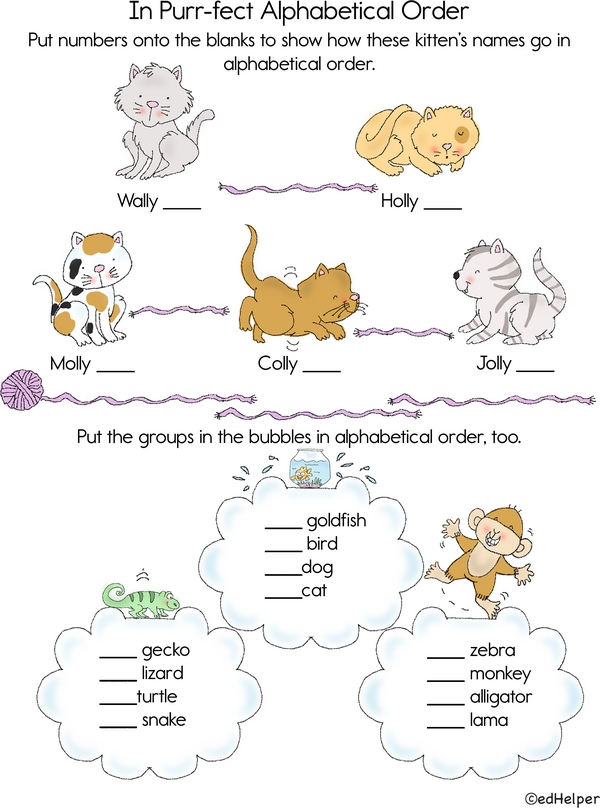 Purr-fect Alphabet Order: From A to Z