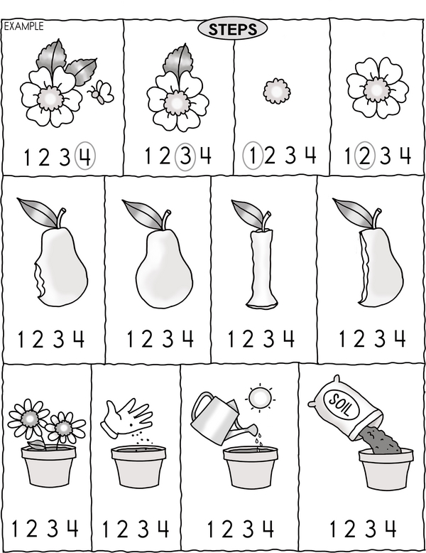 First, Next, Last: Put Them in Order