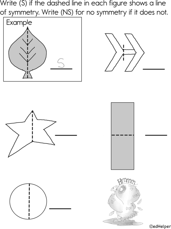 Symmetry Explorers: Perfect Pairs and Twirling Shapes