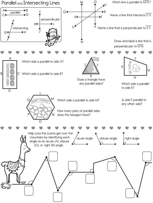 Owl You Need is Math: Lines, Angles, and Factors