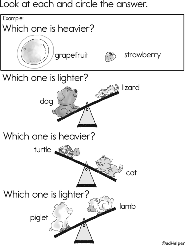Scale Sleuths: Tilt and Tell