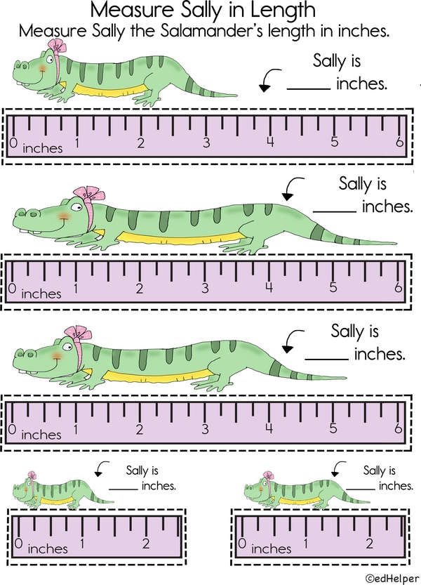 Ruler Time: Measure Sally's Length