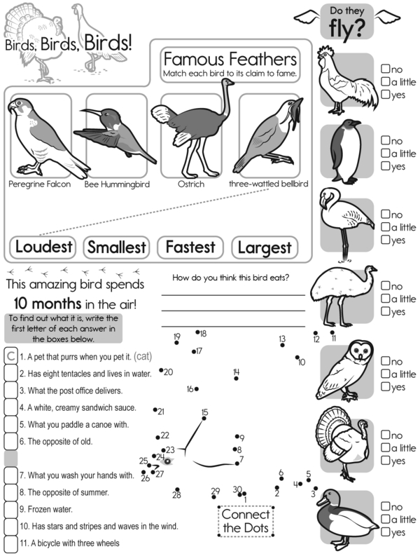 Puzzle Sleuths: From Feathers to Tick-Tock