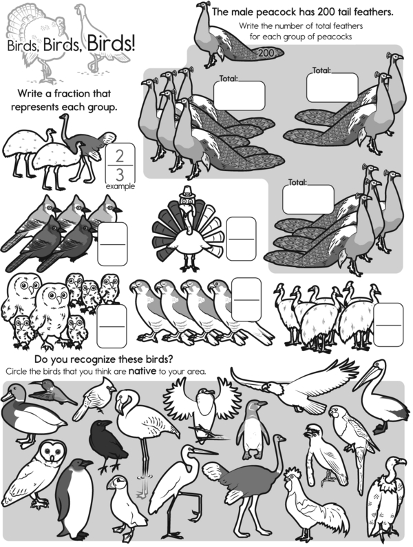 Birdy Challenge: Numbers and Feathers