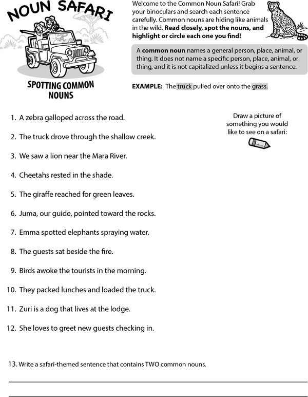 The Great Noun Expedition: Common Noun Safari