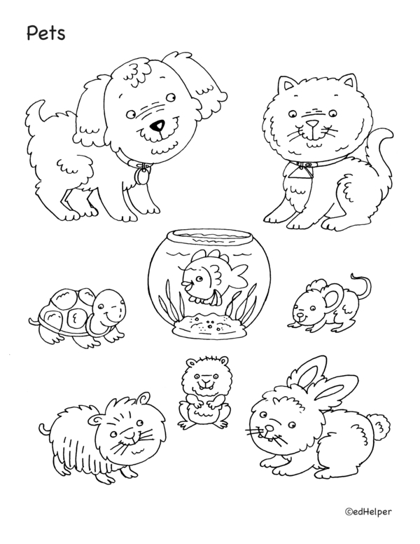 Animal Kingdom: A Coloring Activity Book