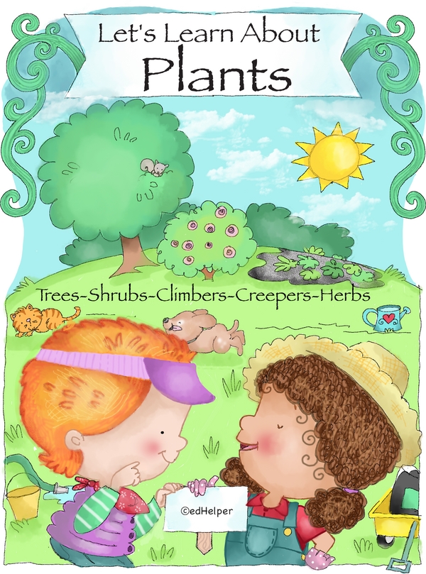 Learning About Plant Properties: Nutrients, Appearance, and More