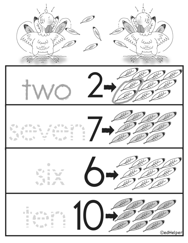 Feather Math: Trace and Count