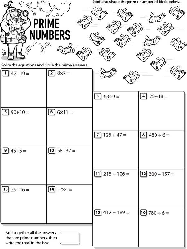 Primes Only: Chasing Numbers in the Wild