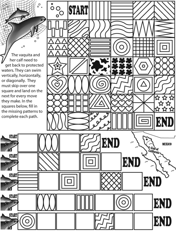 On the Move: Flip, Rotate, Explore