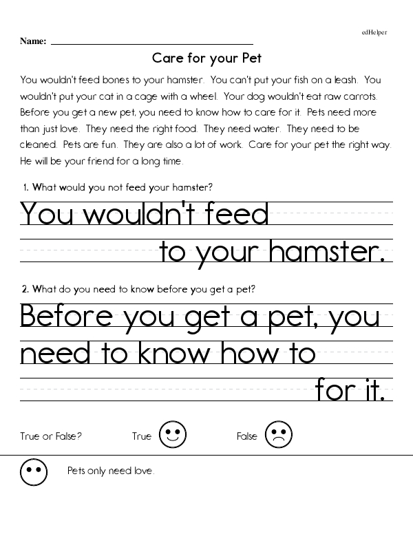 Reading Comprehension: Completing a Summary of a Passage