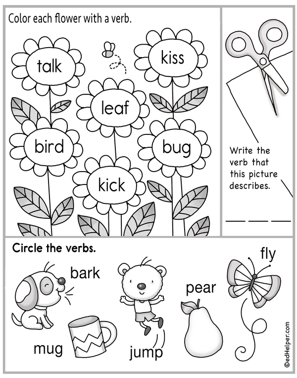 Catch the Action: All About Verbs