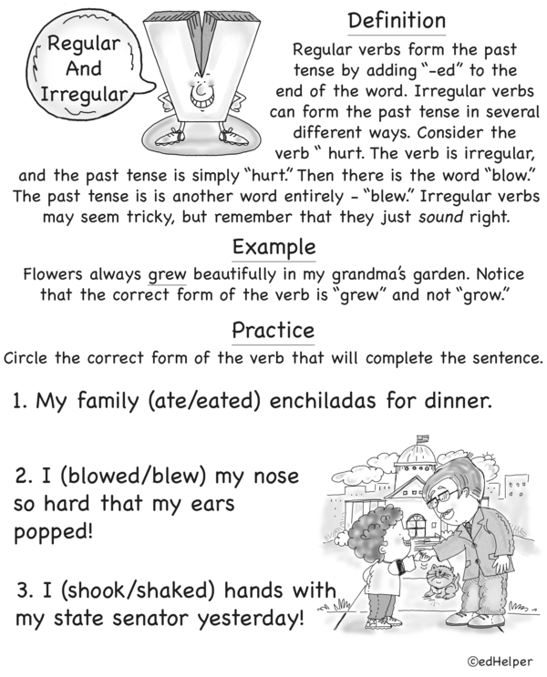 More Than Actions: All About Verbs