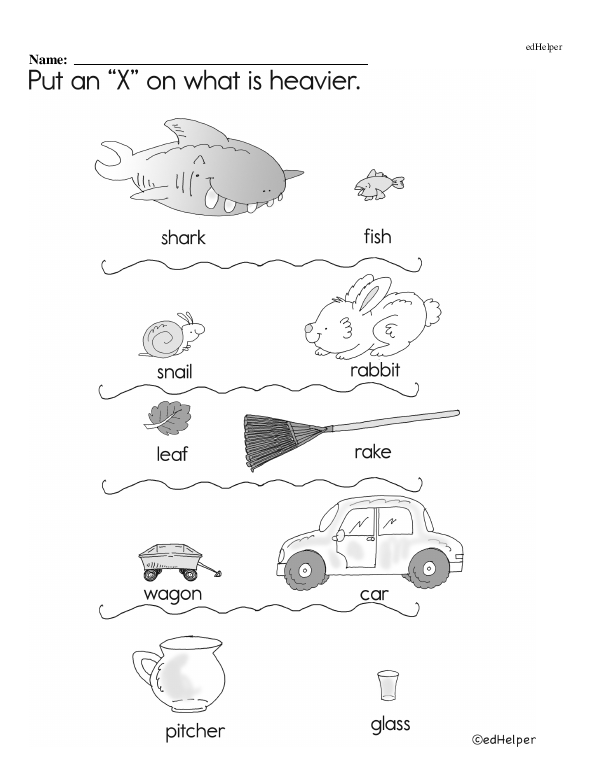 Weight (Math Chapter Workbook)
